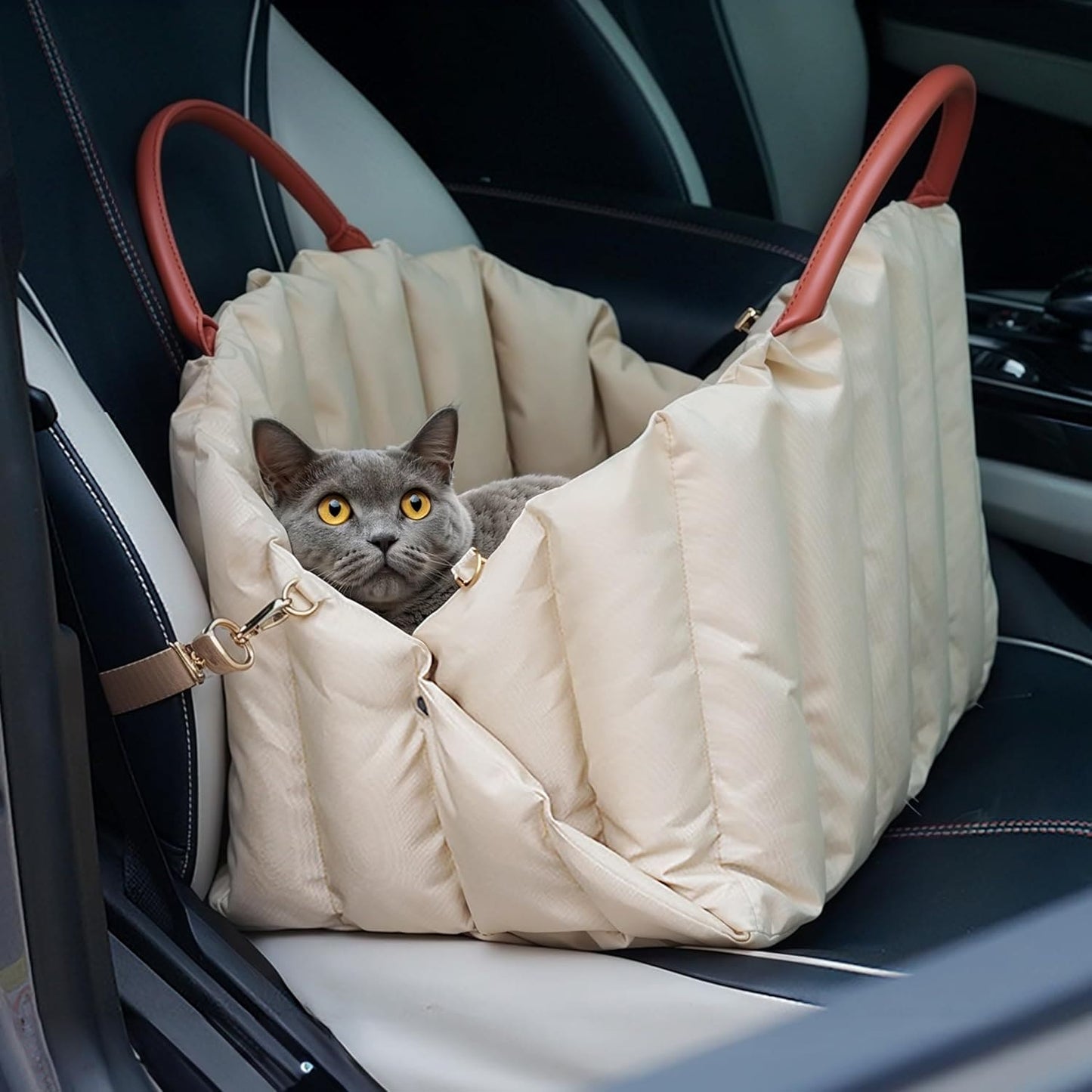 BellaPaws 2-in-1 Dog & Cat Car Seat and Carrier (S & L Sizes)