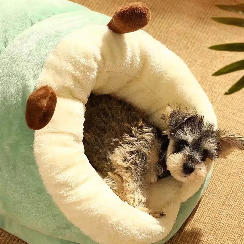 Cozy Slipper Dog Bed – Breathable, Foldable & Machine Washable Dog Bed / Cat Bed