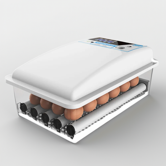 Incubator for Hatching Eggs | Auto Humidity / Heat Control, for Different Eggs