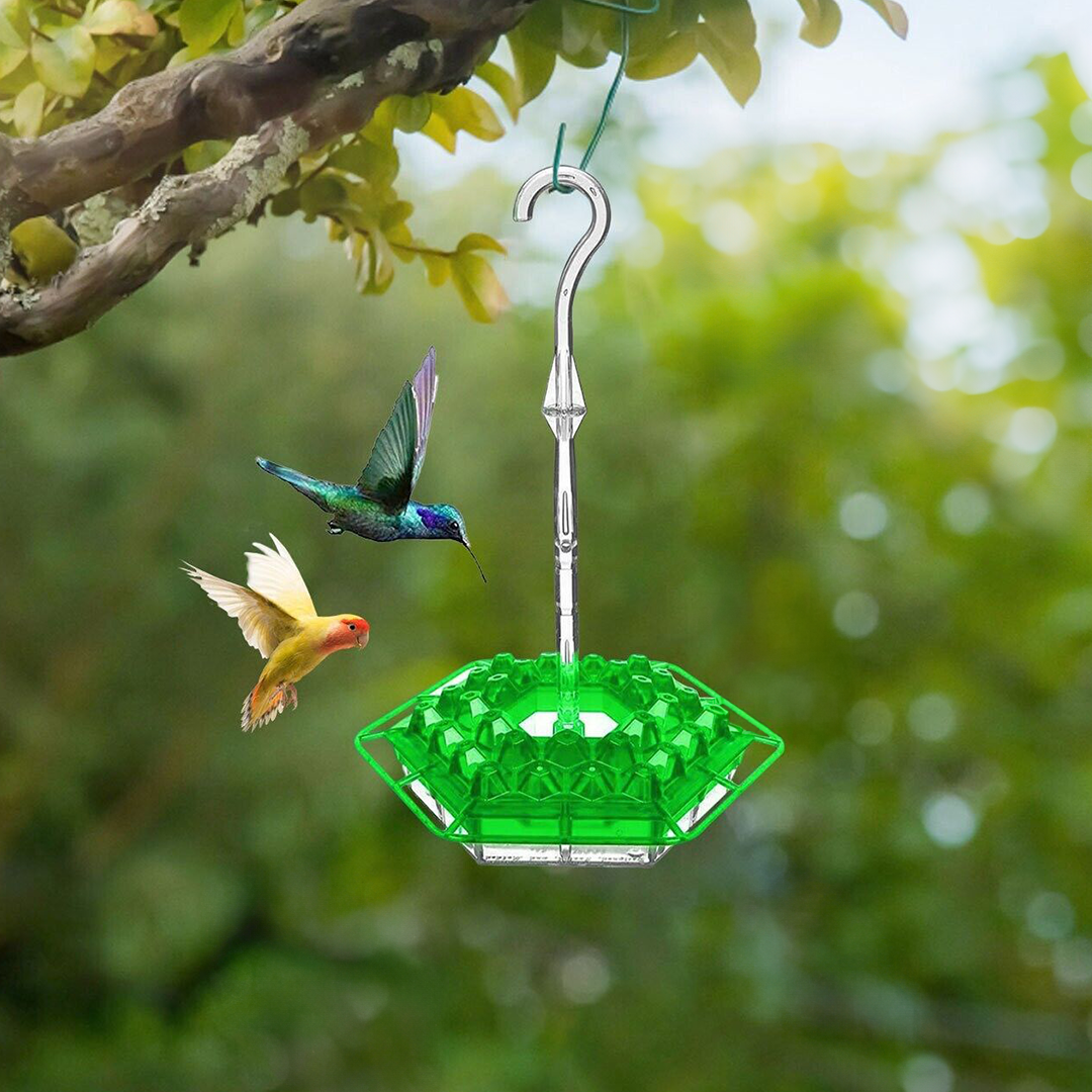 Ant Proof Hummingbird Feeder Outdoor Hanging Perch