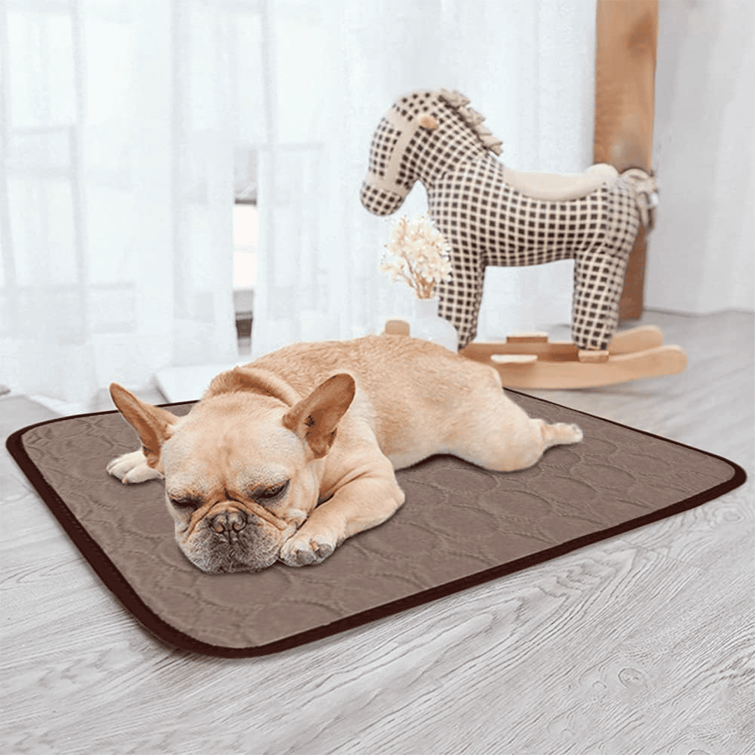 Dog Cooling Mat | 3 Layer Fabric CoolCore Fibre Urine Absorption