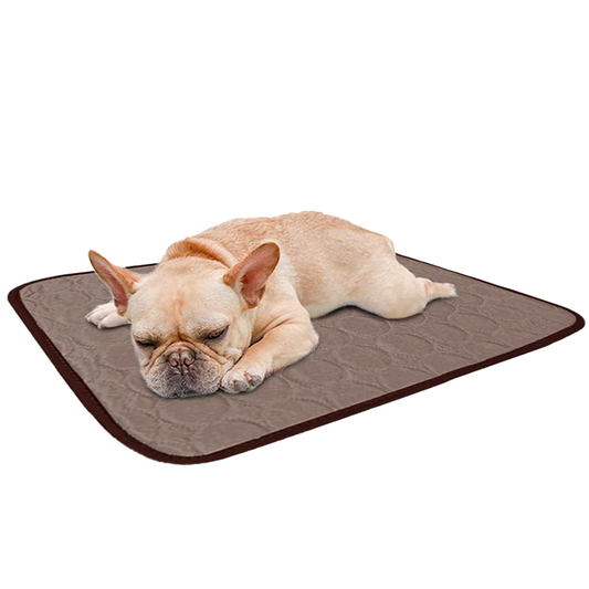 Dog Cooling Mat | 3 Layer Fabric CoolCore Fibre Urine Absorption