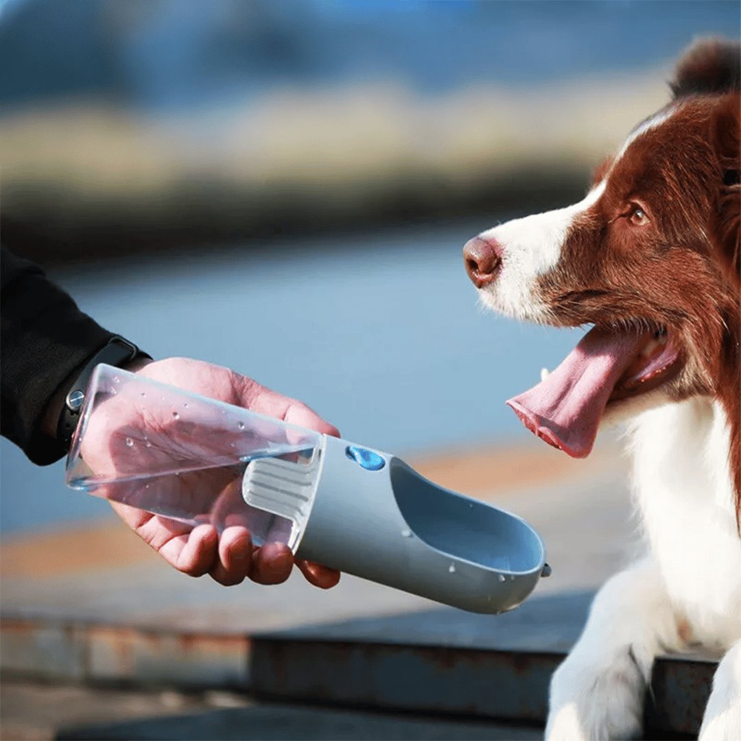 Dog / Cat Portable Drinking Bottle | Micro Pore Filter: Coconut Shell Activated Carbon