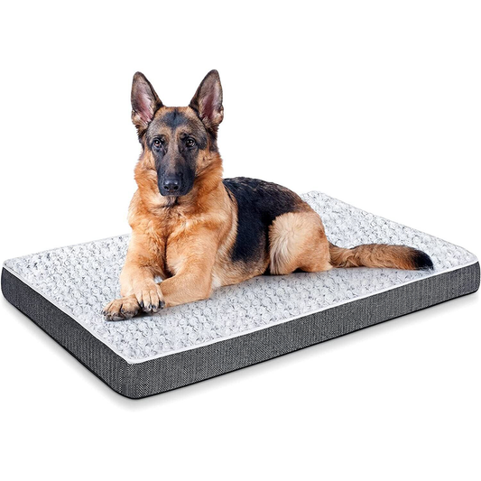 Orthopedic Dog Bed / Dog Pillow 35 x 22 x 2.8 in | Memory Foam, Machine Washable Cover