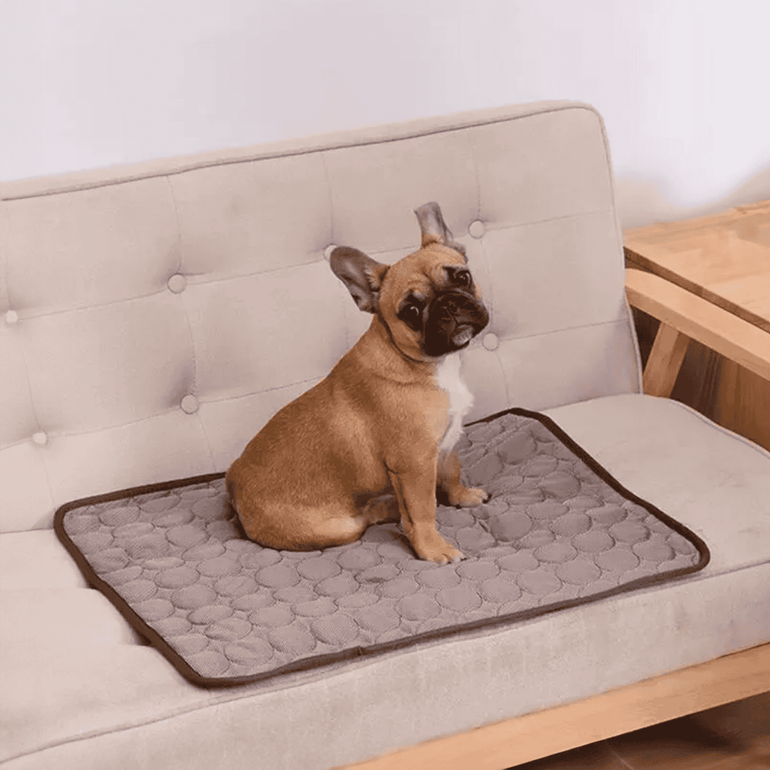 Dog Cooling Mat | 3 Layer Fabric CoolCore Fibre Urine Absorption