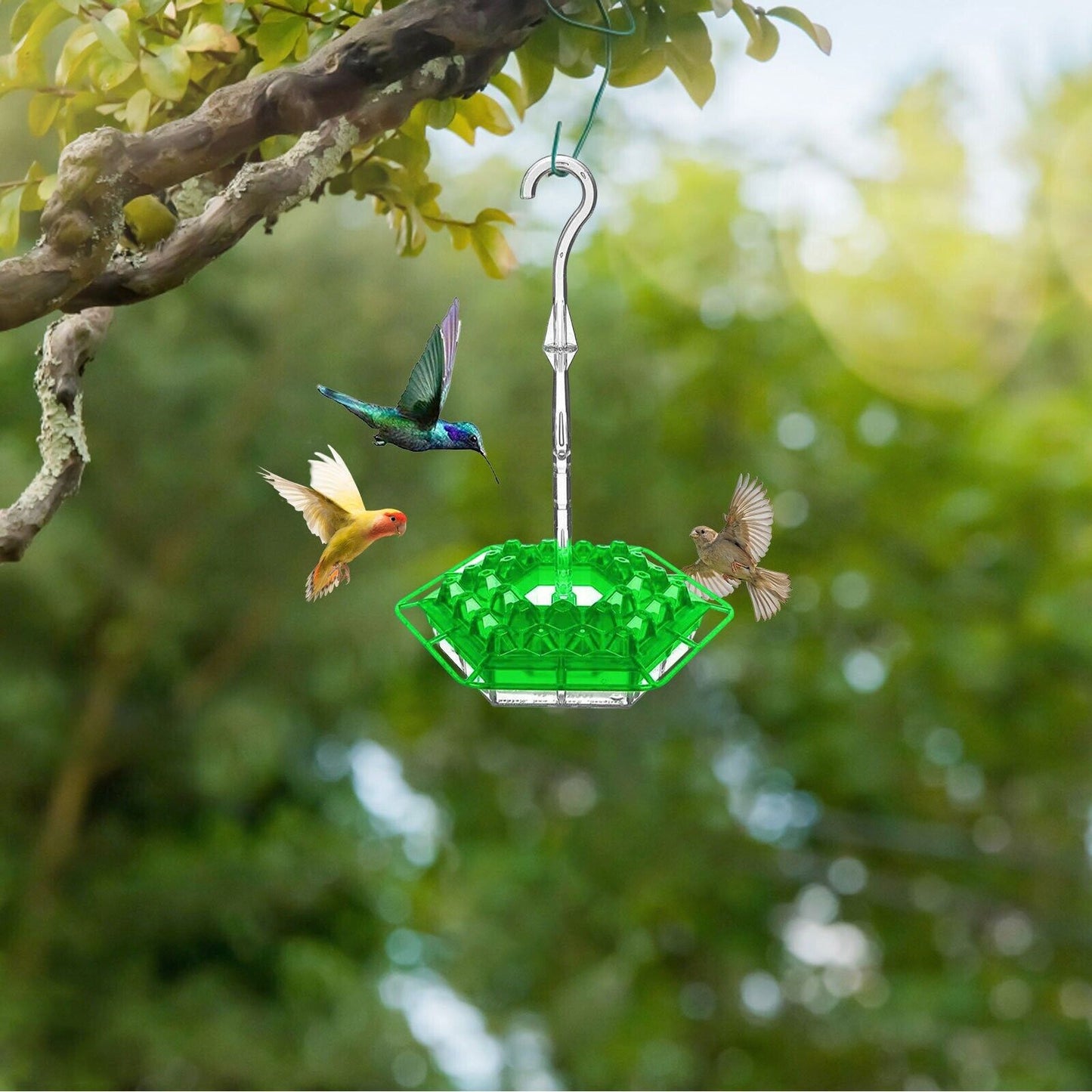 Ant Proof Hummingbird Feeder Outdoor Hanging Perch