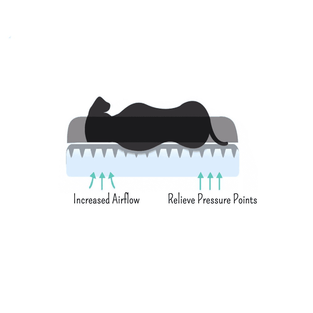 Premium Orthopedic Nesting Dog Bed with Removable Cover (S-XXL)