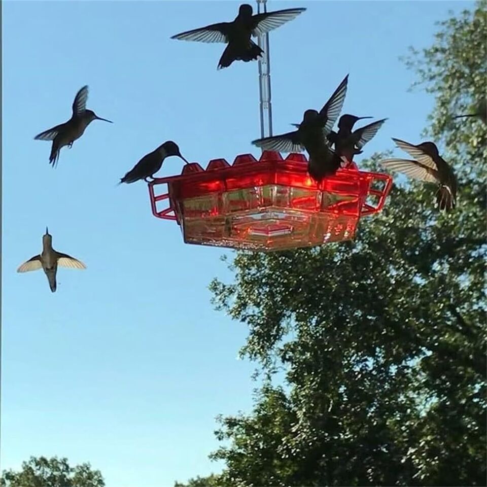 Ant Proof Hummingbird Feeder Outdoor Hanging Perch