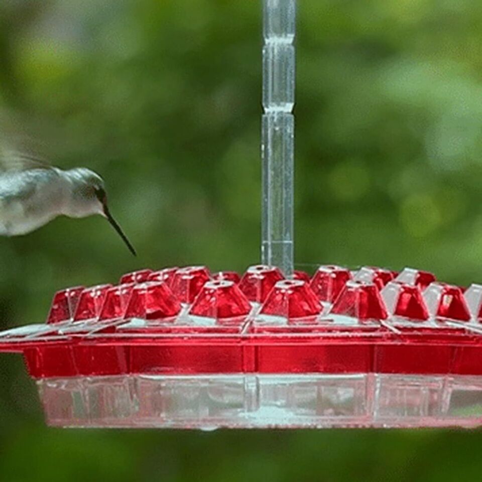 Ant Proof Hummingbird Feeder Outdoor Hanging Perch