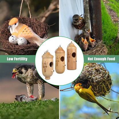 Hand Made Bird House Feeding Station | Blue Bird, Humming Bird, Plain Pirina, Tufted Titmouse