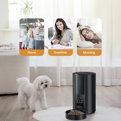 Automatic Cat Feeder / Dog / Pet Dispenser | Dry Food Dispenser 4L