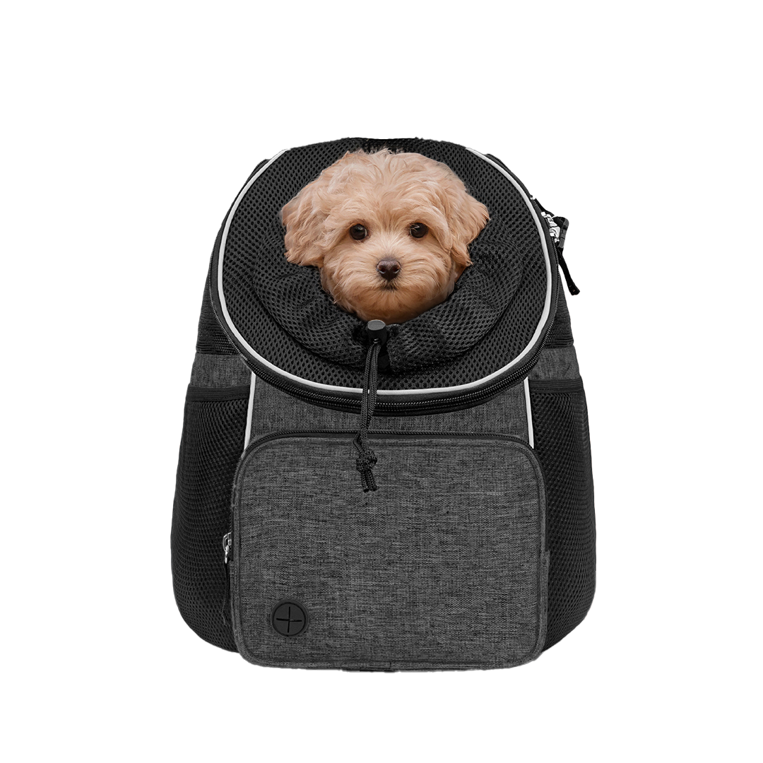 Pet / Dog / Cat Carrier Backpack Travel Bag Head Out