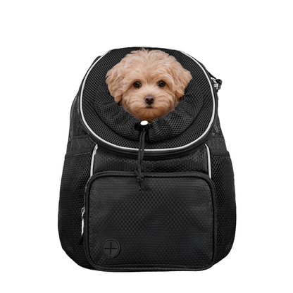 Pet / Dog / Cat Carrier Backpack Travel Bag Head Out